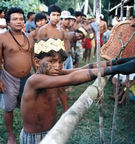 Picture Why Sateré-Mawé Warriors Endure the Bullet Ant Sting
