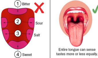 Picture 10 Medical Myths that are Still Widely Believed