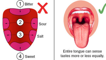 Picture 10 Medical Myths that are Still Widely Believed
