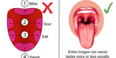 Picture 10 Medical Myths that are Still Widely Believed