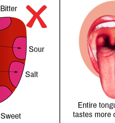Picture 10 Medical Myths that are Still Widely Believed