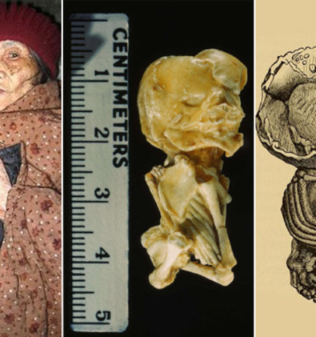 Picture 11 Spooky Facts That Are Deeply Unsettling