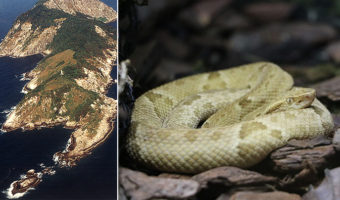 Picture 10 Most Uninhabitable Places on Earth