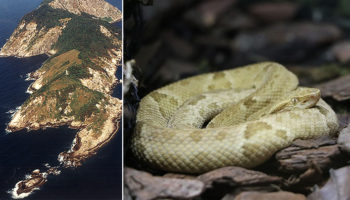 Picture 10 Most Uninhabitable Places on Earth