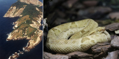 Picture 10 Most Uninhabitable Places on Earth