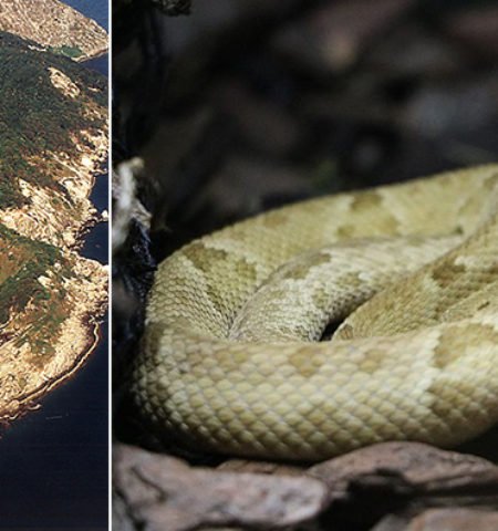 Picture 10 Most Uninhabitable Places on Earth