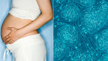 Picture 10 Extraordinary Facts About the Human Body