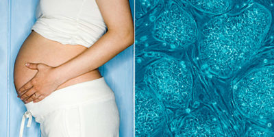 Picture 10 Extraordinary Facts About the Human Body