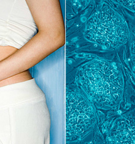 Picture 10 Extraordinary Facts About the Human Body