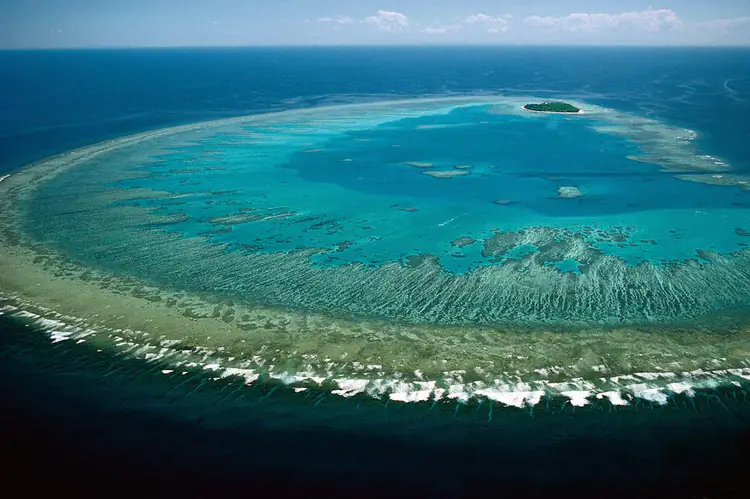 The Great Barrier Reef
