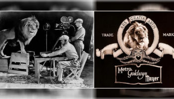 Picture 10 Interesting Stories Behind Mascots