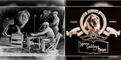 Picture 10 Interesting Stories Behind Mascots