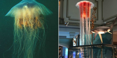 Picture 10 Random Fun Facts to Kill Your Boredom – Part 5