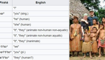 Picture 12 Lesser-known Linguistic Facts