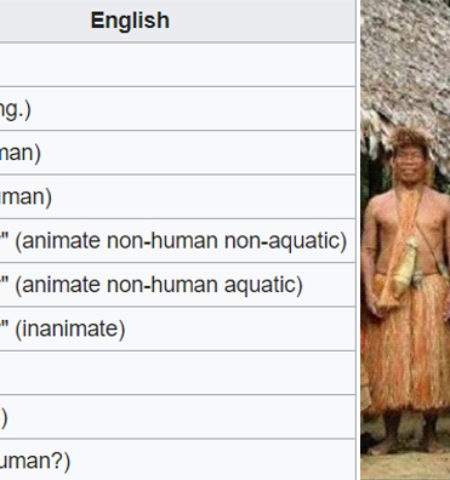 Picture 12 Lesser-known Linguistic Facts