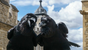 Picture 10 Weird Superstitions from Around the World