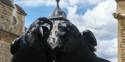 Picture 10 Weird Superstitions from Around the World