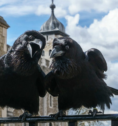 Picture 10 Weird Superstitions from Around the World