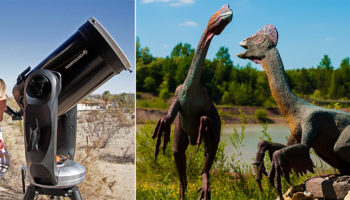 Picture 12 Facts that Seem Exaggerated but are Actually True!