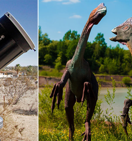 Picture 12 Facts that Seem Exaggerated but are Actually True!