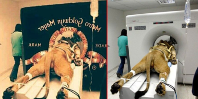 Picture 10 Widely Circulated Photos that are Actually Fake