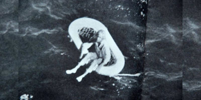 Picture Terry Jo, an 11-Year-Old Girl Who Survived Four Days on a Cork Raft with No Food or Water