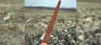 Picture Viking Sword Over 1,100 Old Discovered by Reindeer Hunters 5,400 Feet Above Sea Level