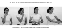 Picture Nicaraguan Sign Language, the language developed by the deaf children of Nicaragua in complete isolation