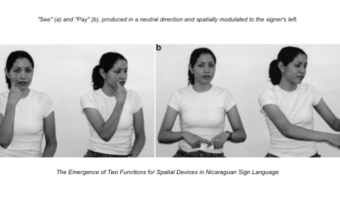 Picture Nicaraguan Sign Language, the language developed by the deaf children of Nicaragua in complete isolation