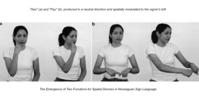 Picture Nicaraguan Sign Language, the language developed by the deaf children of Nicaragua in complete isolation