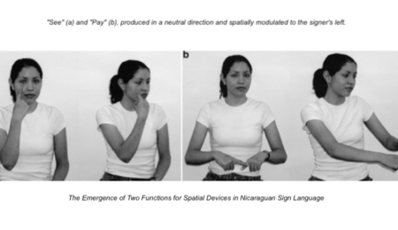 Picture Nicaraguan Sign Language, the language developed by the deaf children of Nicaragua in complete isolation