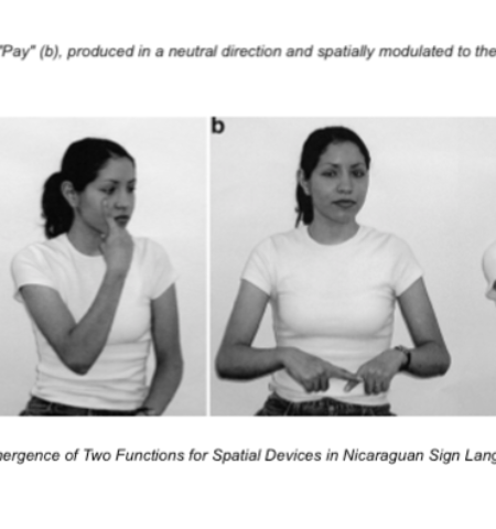 Picture Nicaraguan Sign Language, the language developed by the deaf children of Nicaragua in complete isolation