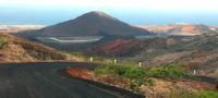 Picture Ascension Island, a Barren, Volcanic Island Turned Green by Sir Joseph Hooker and Charles Darwin