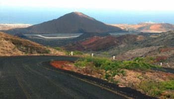 Picture Ascension Island, a Barren, Volcanic Island Turned Green by Sir Joseph Hooker and Charles Darwin