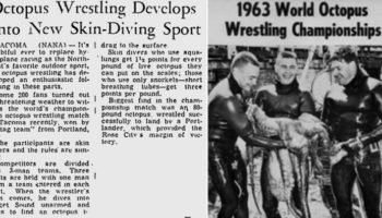 Picture 10 of the Most Strangest Sports You’ve Never Seen