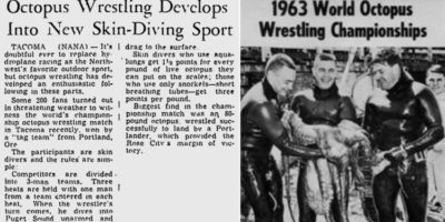 Picture 10 of the Most Strangest Sports You’ve Never Seen