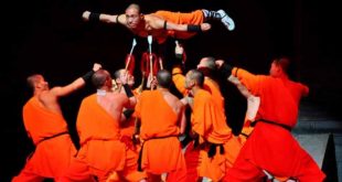 Shaolin Monk Skills