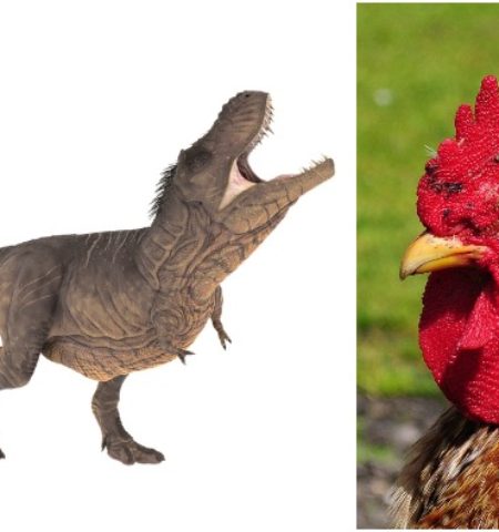 Picture 10 Astounding Facts about Dinosaurs