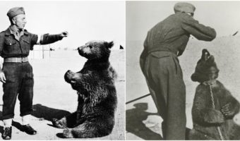 Picture 10 Historical Events that Should be Turned into Movies