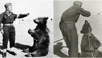 Picture 10 Historical Events that Should be Turned into Movies