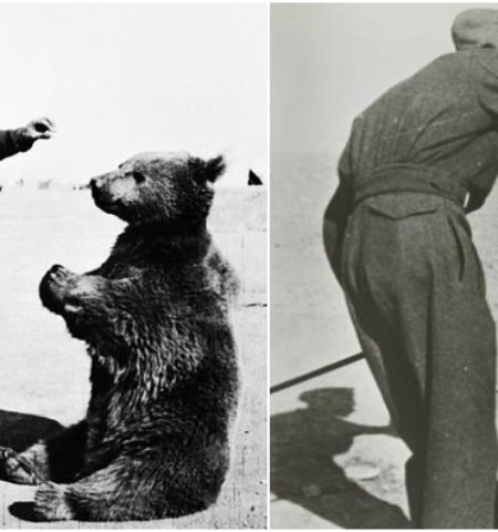 Picture 10 Historical Events that Should be Turned into Movies