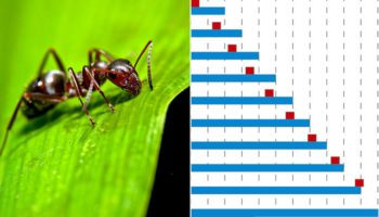 Picture 10 Mind-Boggling Paradoxes that Will Make Your Head Spin