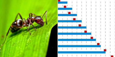 Picture 10 Mind-Boggling Paradoxes that Will Make Your Head Spin