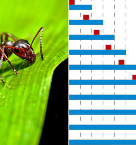 Picture 10 Mind-Boggling Paradoxes that Will Make Your Head Spin