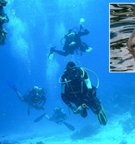 Picture 10 Times Animals Saved Human Lives