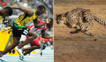Picture 10 Ultimate Facts about Usain Bolt