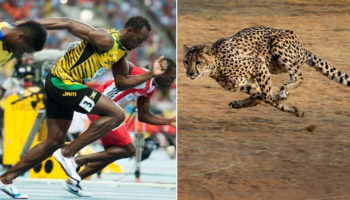 Picture 10 Ultimate Facts about Usain Bolt