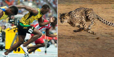 Picture 10 Ultimate Facts about Usain Bolt