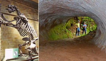 Picture 10 Prehistoric Creatures that are Thankfully Extinct