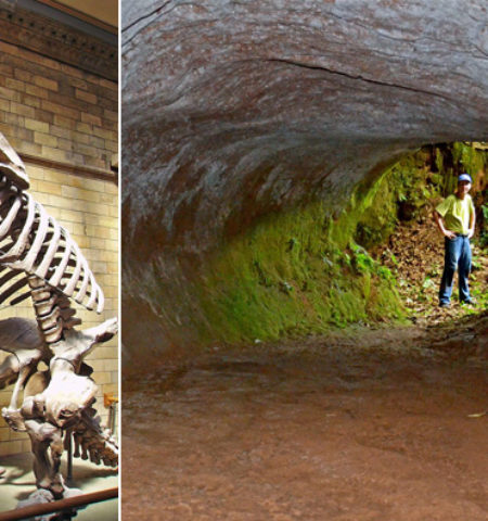 Picture 10 Prehistoric Creatures that are Thankfully Extinct